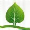 GreenThumb Solutions Favicon Graphic
