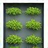 Icon representing vertical greenery solutions